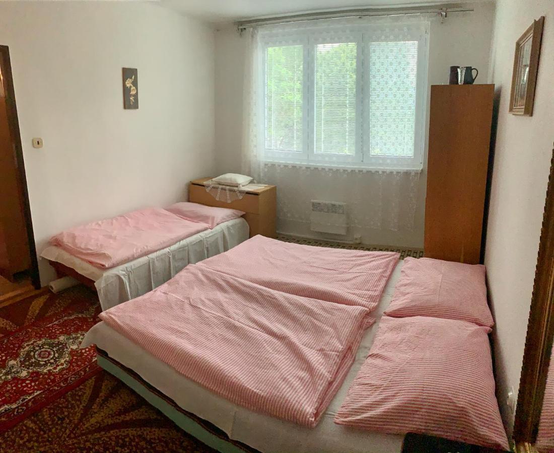 Ferienwohnung Cely Byt Želnava Exterior foto