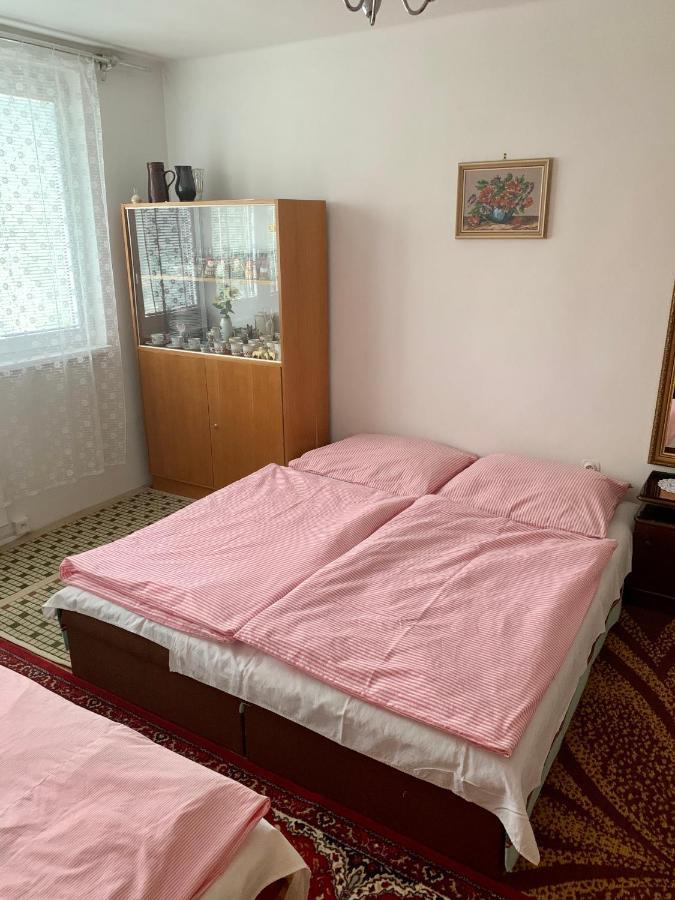 Ferienwohnung Cely Byt Želnava Exterior foto